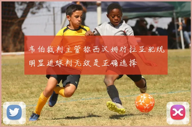 韦伯裁判主管称西汉姆对拉亚犯规明显进球判无效是正确选择