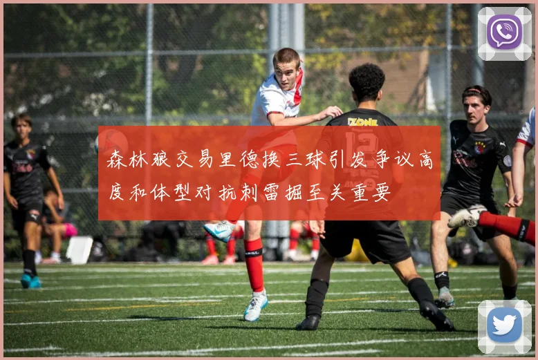 森林狼交易里德换三球引发争议高度和体型对抗刺雷掘至关重要