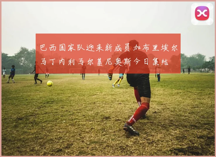 巴西国家队迎来新成员加布里埃尔马丁内利马尔基尼奥斯今日集结