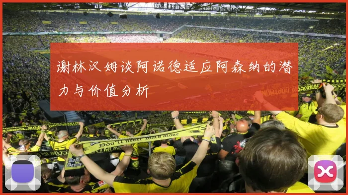 谢林汉姆谈阿诺德适应阿森纳的潜力与价值分析
