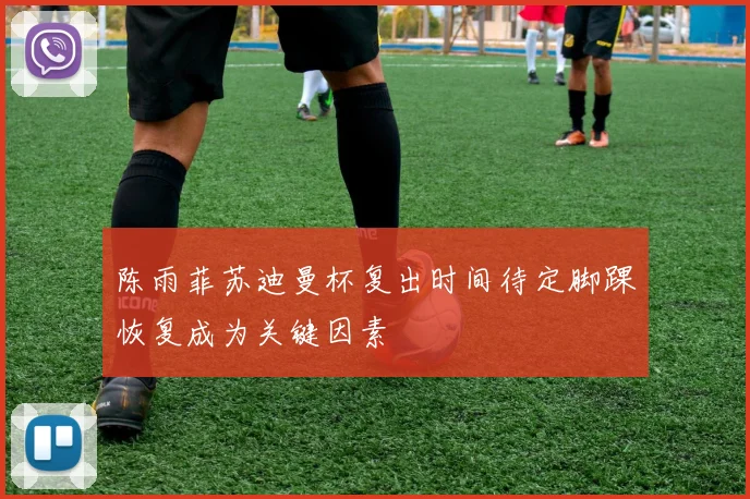 陈雨菲苏迪曼杯复出时间待定脚踝恢复成为关键因素