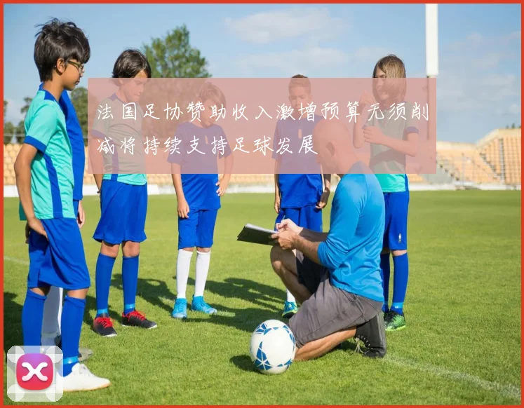 法国足协赞助收入激增预算无须削减将持续支持足球发展