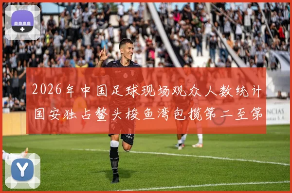 2026年中国足球现场观众人数统计国安独占鳌头梭鱼湾包揽第二至第七位