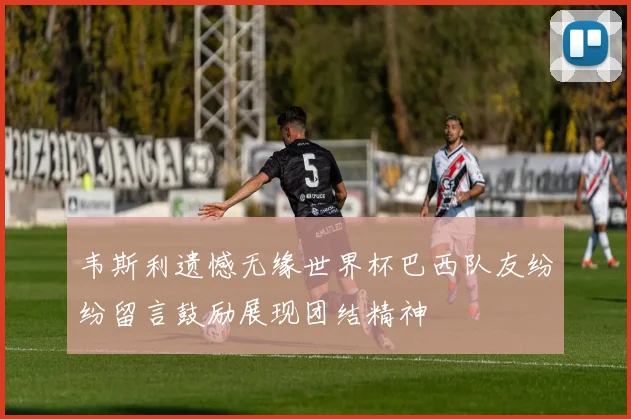 韦斯利遗憾无缘世界杯巴西队友纷纷留言鼓励展现团结精神